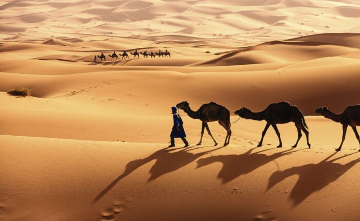 15 Day Grand Tour from Casablanca to Merzouga