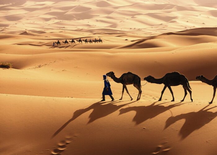 15 Day Grand Tour from Casablanca to Merzouga