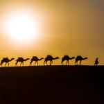 Sunset camel ride in Merzouga