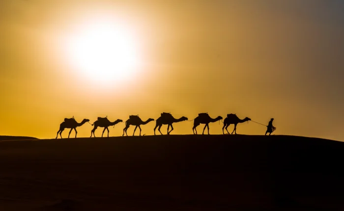Sunset camel ride in Merzouga