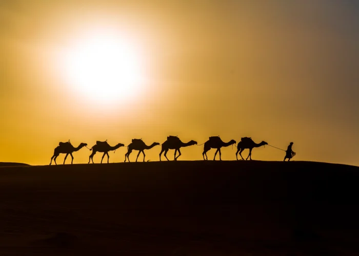 Sunset camel ride in Merzouga